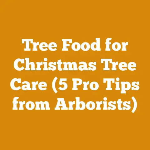 Tree Food for Christmas Tree Care (5 Pro Tips from Arborists)