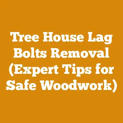 Tree House Lag Bolts Removal (Expert Tips for Safe Woodwork)