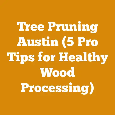 Tree Pruning Austin (5 Pro Tips for Healthy Wood Processing)