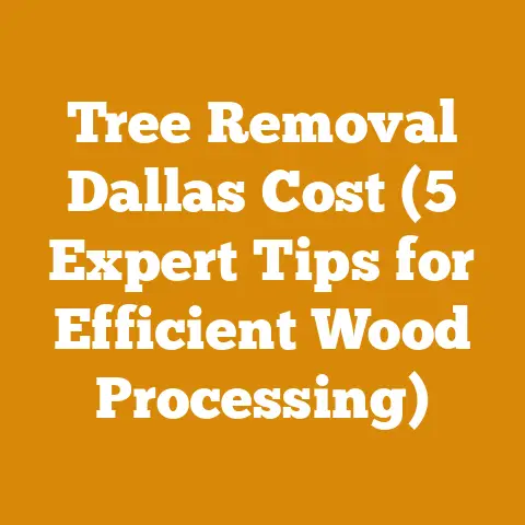 Tree Removal Dallas Cost (5 Expert Tips for Efficient Wood Processing)