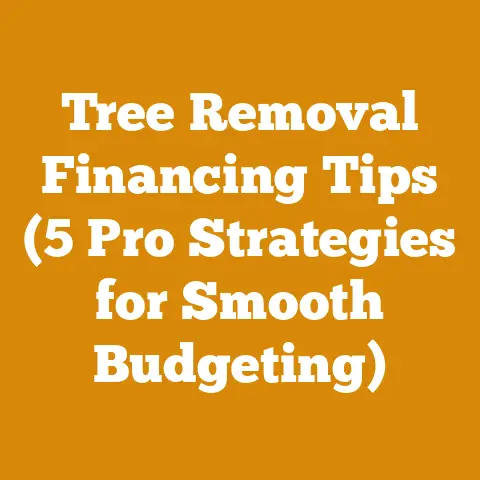 Tree Removal Financing Tips (5 Pro Strategies for Smooth Budgeting)