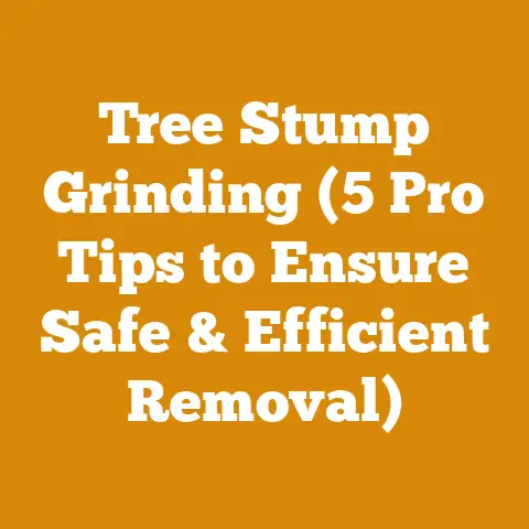Tree Stump Grinding (5 Pro Tips to Ensure Safe & Efficient Removal)