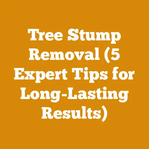 Tree Stump Removal (5 Expert Tips for Long-Lasting Results)