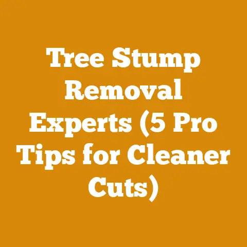 Tree Stump Removal Experts (5 Pro Tips for Cleaner Cuts)