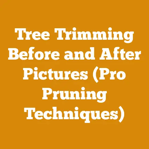 Tree Trimming Before and After Pictures (Pro Pruning Techniques)