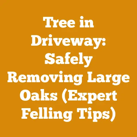 Tree in Driveway: Safely Removing Large Oaks (Expert Felling Tips)