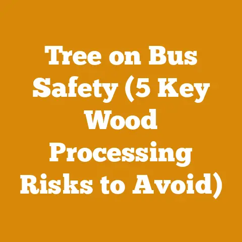 Tree on Bus Safety (5 Key Wood Processing Risks to Avoid)