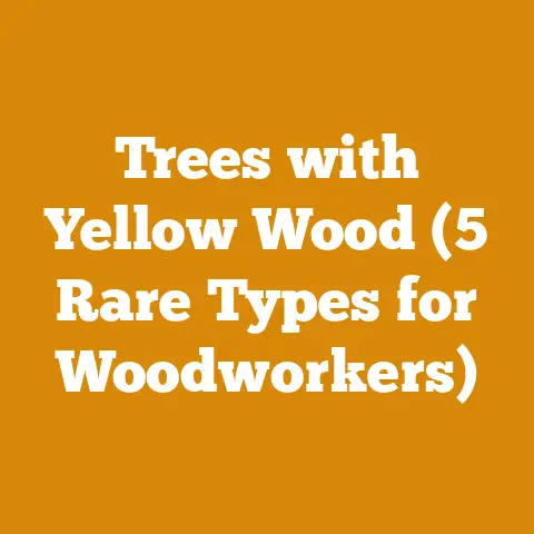 Trees with Yellow Wood (5 Rare Types for Woodworkers)