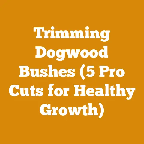 Trimming Dogwood Bushes (5 Pro Cuts for Healthy Growth)