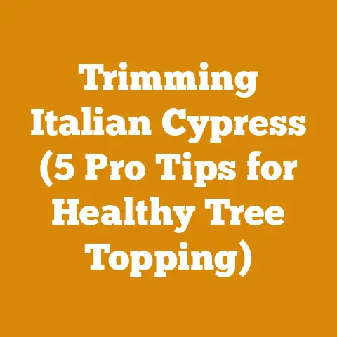Trimming Italian Cypress (5 Pro Tips for Healthy Tree Topping)
