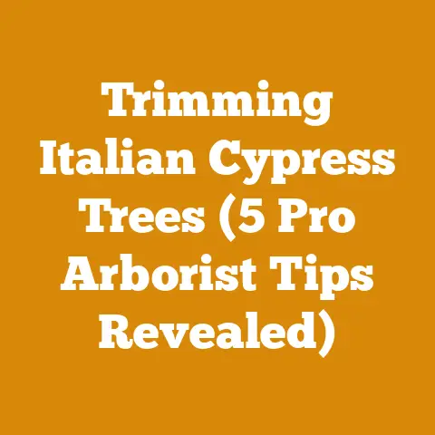 Trimming Italian Cypress Trees (5 Pro Arborist Tips Revealed)
