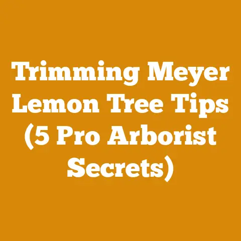 Trimming Meyer Lemon Tree Tips (5 Pro Arborist Secrets)