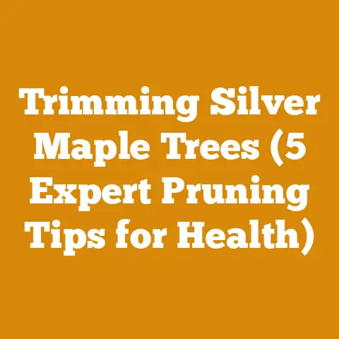 Trimming Silver Maple Trees (5 Expert Pruning Tips for Health)