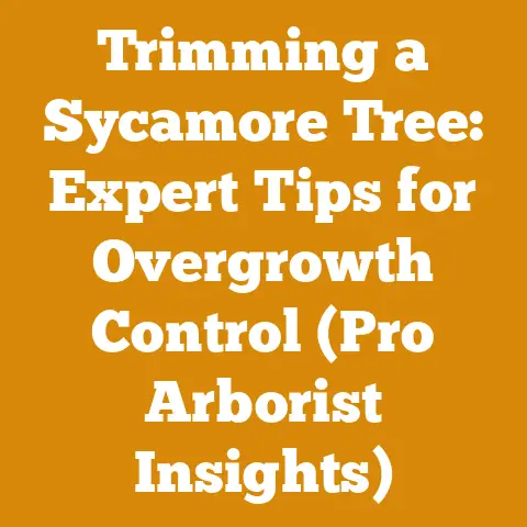 Trimming a Sycamore Tree: Expert Tips for Overgrowth Control (Pro Arborist Insights)
