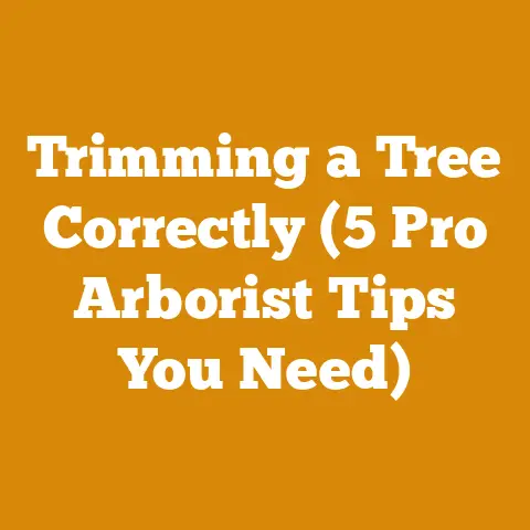 Trimming a Tree Correctly (5 Pro Arborist Tips You Need)