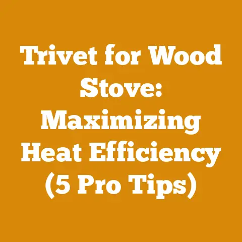 Trivet for Wood Stove: Maximizing Heat Efficiency (5 Pro Tips)
