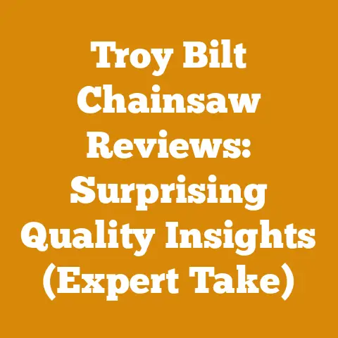 Troy Bilt Chainsaw Reviews: Surprising Quality Insights (Expert Take)
