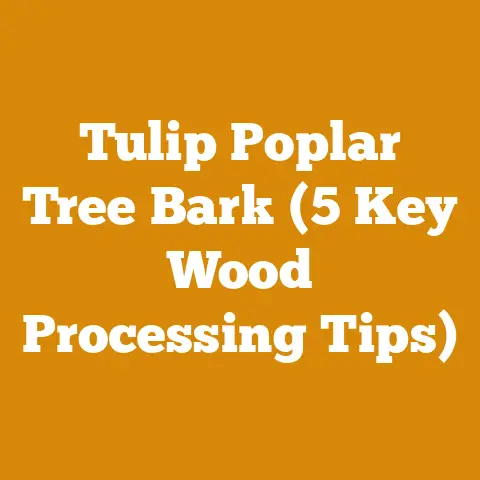 Tulip Poplar Tree Bark (5 Key Wood Processing Tips)