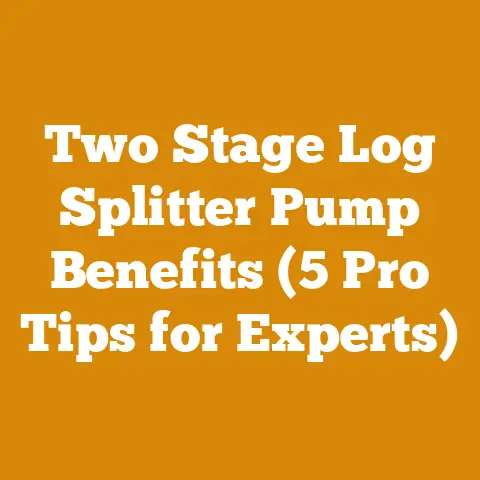Two Stage Log Splitter Pump Benefits (5 Pro Tips for Experts)