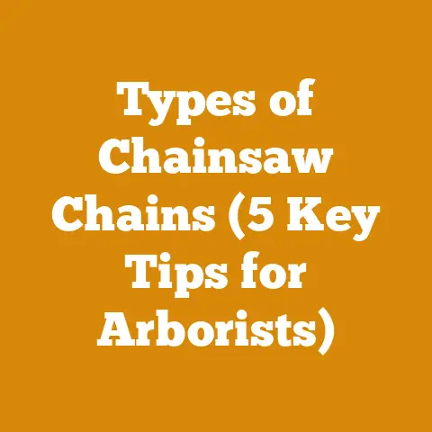 Types of Chainsaw Chains (5 Key Tips for Arborists)