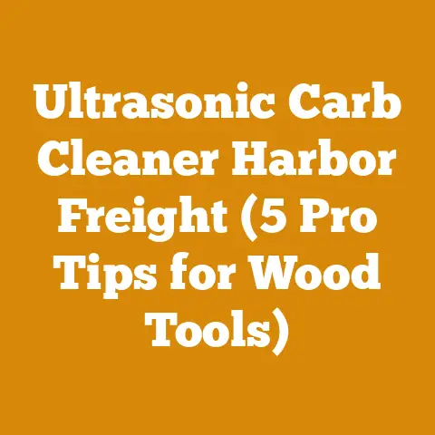 Ultrasonic Carb Cleaner Harbor Freight (5 Pro Tips for Wood Tools)