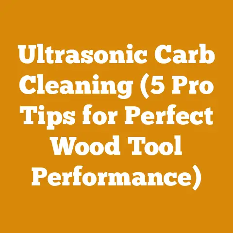 Ultrasonic Carb Cleaning (5 Pro Tips for Perfect Wood Tool Performance)