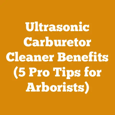 Ultrasonic Carburetor Cleaner Benefits (5 Pro Tips for Arborists)