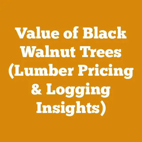 Value of Black Walnut Trees (Lumber Pricing & Logging Insights)