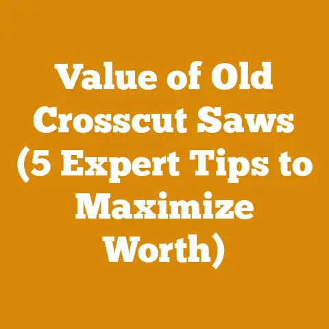 Value of Old Crosscut Saws (5 Expert Tips to Maximize Worth)