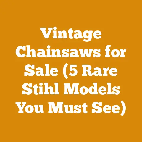 Vintage Chainsaws for Sale (5 Rare Stihl Models You Must See)
