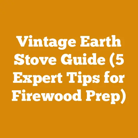 Vintage Earth Stove Guide (5 Expert Tips for Firewood Prep)