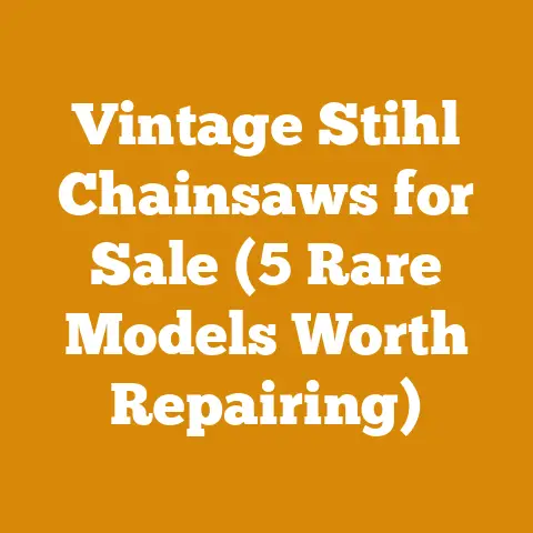 Vintage Stihl Chainsaws for Sale (5 Rare Models Worth Repairing)