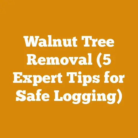 Walnut Tree Removal (5 Expert Tips for Safe Logging)
