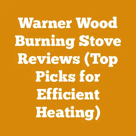 Warner Wood Burning Stove Reviews (Top Picks for Efficient Heating)