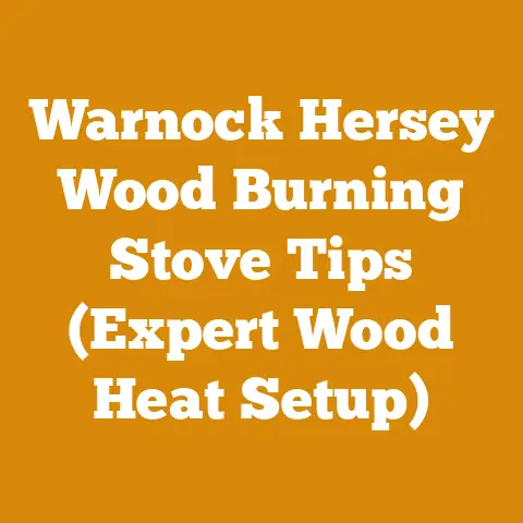 Warnock Hersey Wood Burning Stove Tips (Expert Wood Heat Setup)
