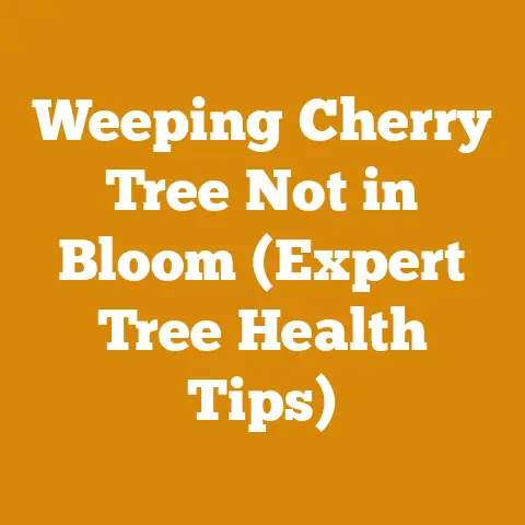 Weeping Cherry Tree Not in Bloom (Expert Tree Health Tips)