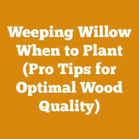 Weeping Willow When to Plant (Pro Tips for Optimal Wood Quality)