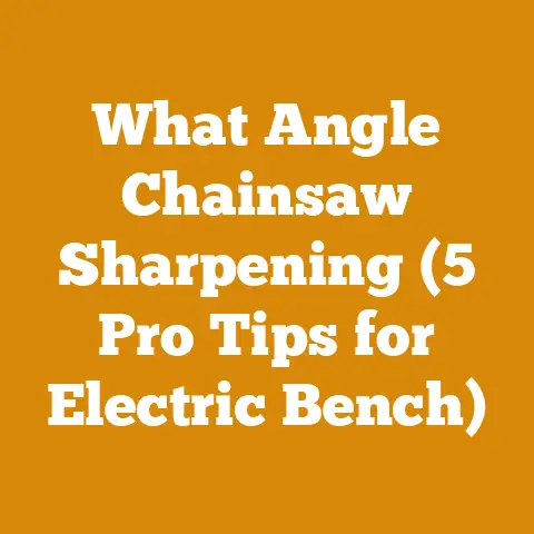 What Angle Chainsaw Sharpening (5 Pro Tips for Electric Bench)