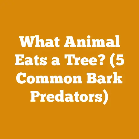 What Animal Eats a Tree? (5 Common Bark Predators)