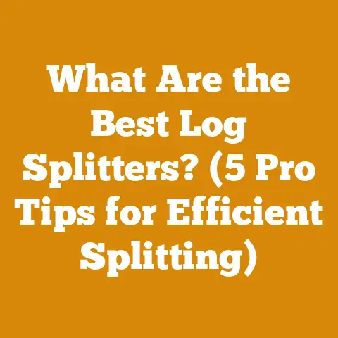 What Are the Best Log Splitters? (5 Pro Tips for Efficient Splitting)