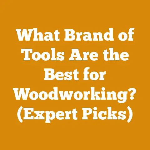 What Brand of Tools Are the Best for Woodworking? (Expert Picks)