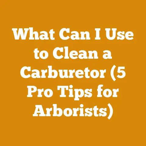 What Can I Use to Clean a Carburetor (5 Pro Tips for Arborists)