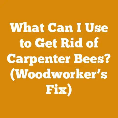 What Can I Use to Get Rid of Carpenter Bees? (Woodworker’s Fix)