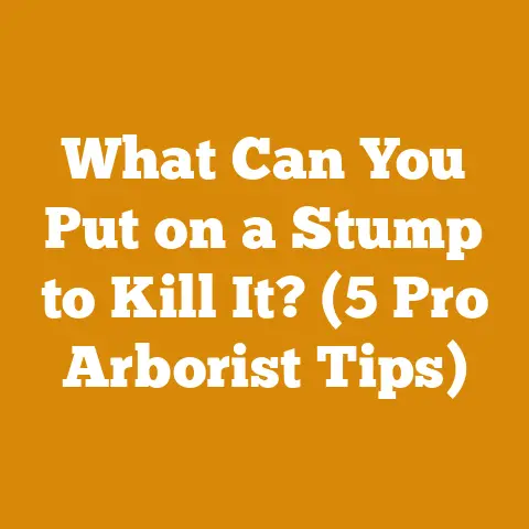 What Can You Put on a Stump to Kill It? (5 Pro Arborist Tips)