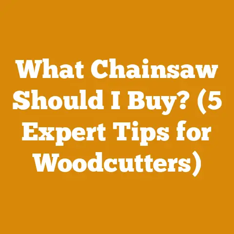 What Chainsaw Should I Buy? (5 Expert Tips for Woodcutters)