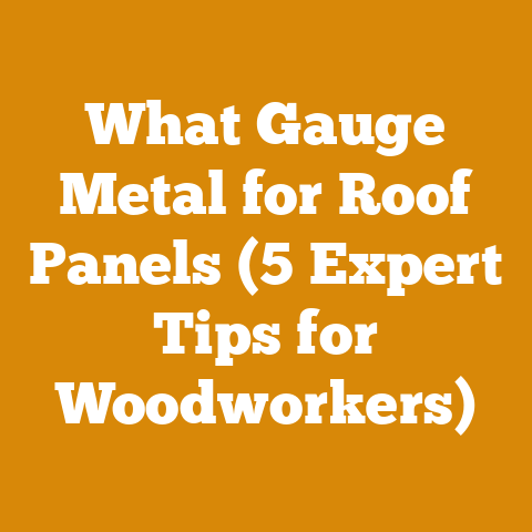 What Gauge Metal for Roof Panels (5 Expert Tips for Woodworkers)