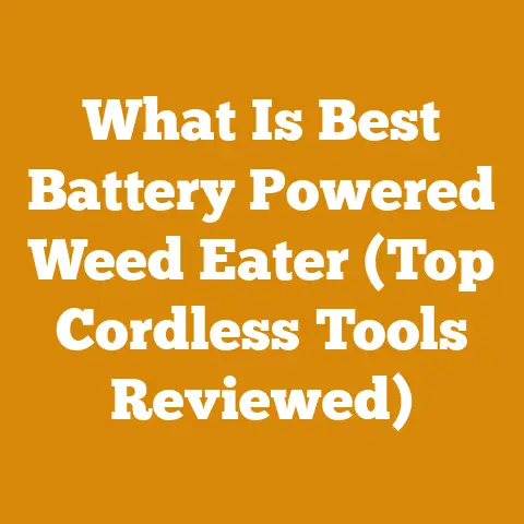 What Is Best Battery Powered Weed Eater (Top Cordless Tools Reviewed)