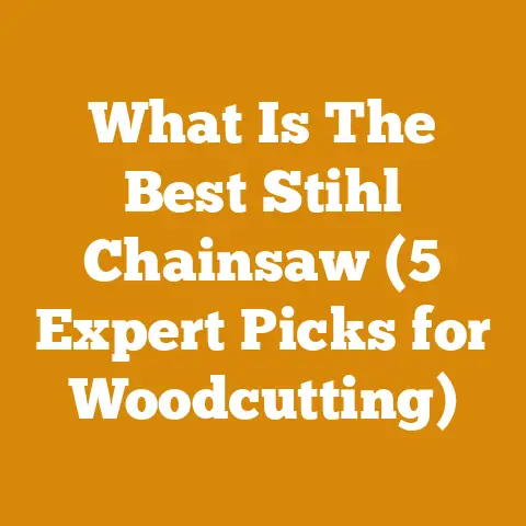 What Is The Best Stihl Chainsaw (5 Expert Picks for Woodcutting)