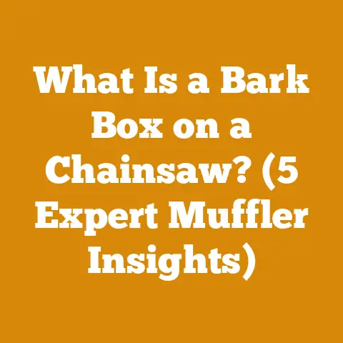 What Is a Bark Box on a Chainsaw? (5 Expert Muffler Insights)