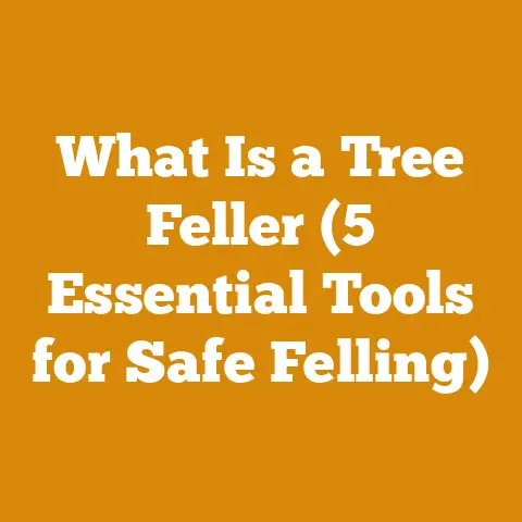 What Is a Tree Feller (5 Essential Tools for Safe Felling)